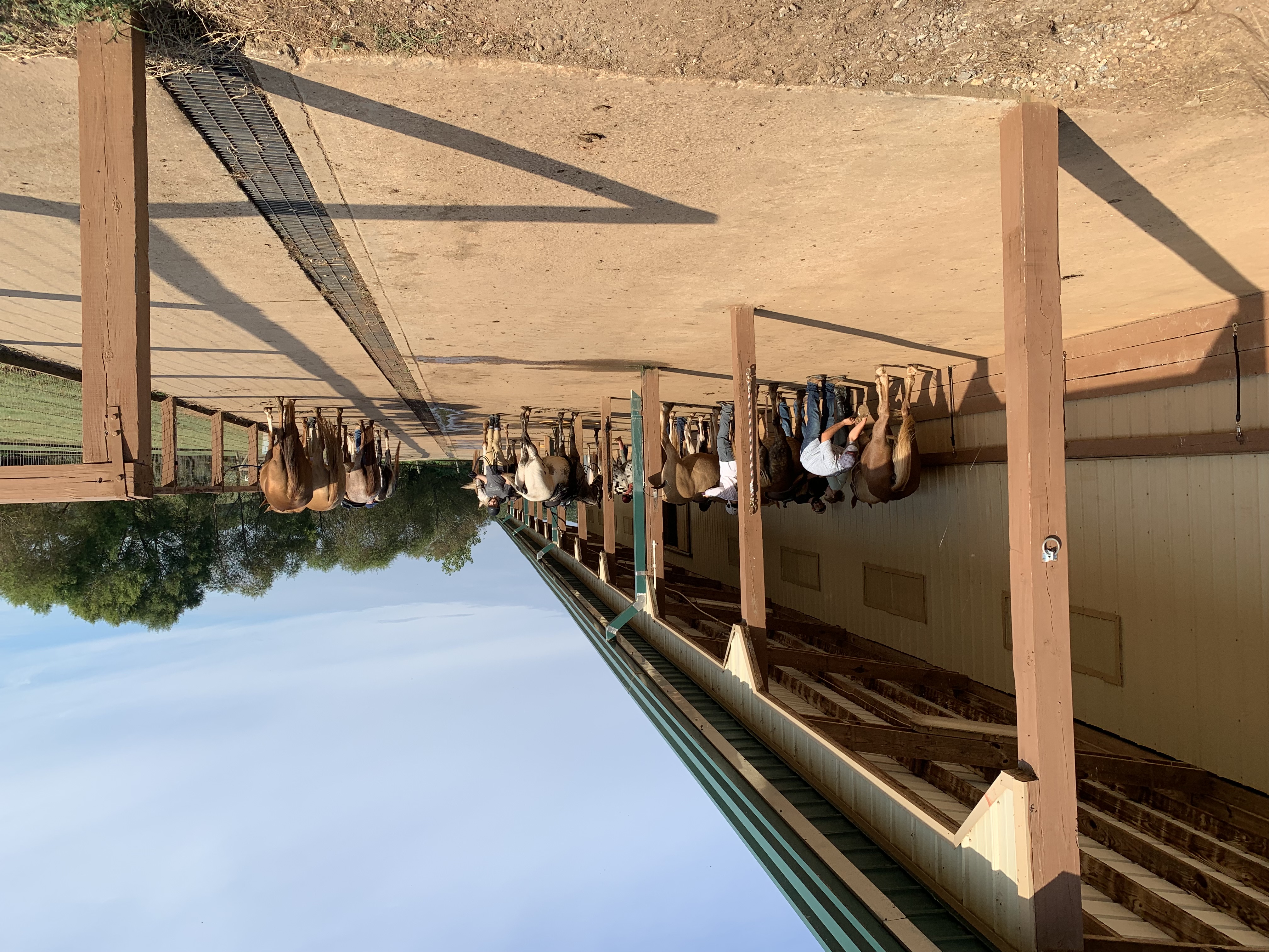 ./2021/07 - Southern Cross/IMG_5514.JPG